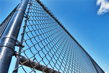 Chain Link Fence